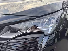 Peugeot 5008 II · Рестайлинг — Изображение 21