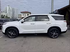 Hyundai Palisade I — Изображение 4