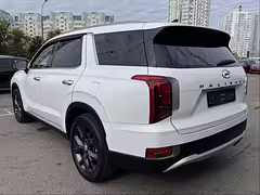 Hyundai Palisade I — Изображение 5