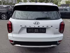 Hyundai Palisade I — Изображение 6