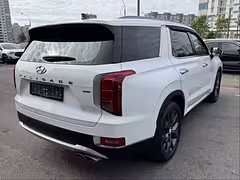 Hyundai Palisade I — Изображение 7