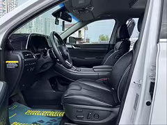 Hyundai Palisade I — Изображение 10